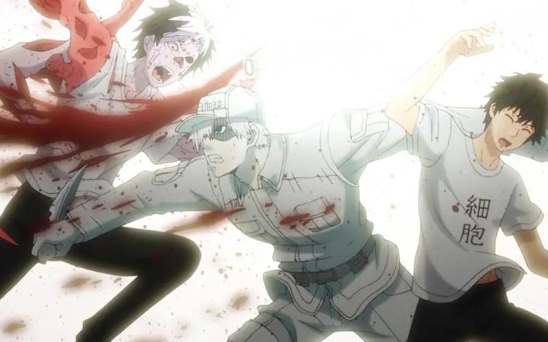 Cells at Work